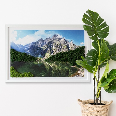 Quadro con muschio stabilizzato Monti Tatra Morskie Oko