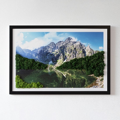 Quadro con muschio stabilizzato Monti Tatra Morskie Oko