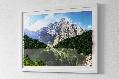 Quadro con muschio stabilizzato Monti Tatra Morskie Oko