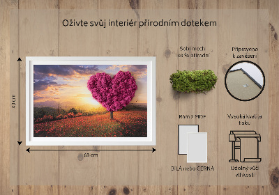 Quadro con muschio Albero a forma di cuore