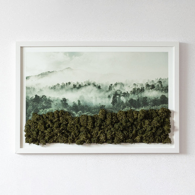 Quadro di muschio Foresta nella nebbia