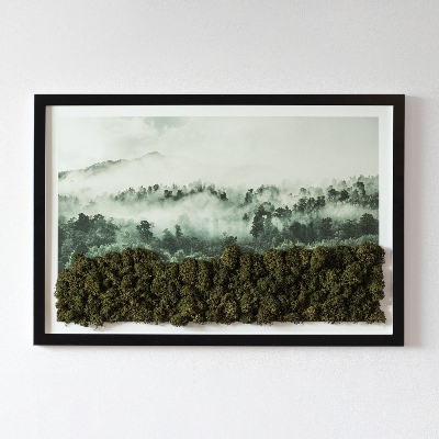 Quadro di muschio Foresta nella nebbia