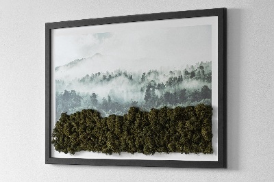 Quadro di muschio Foresta nella nebbia