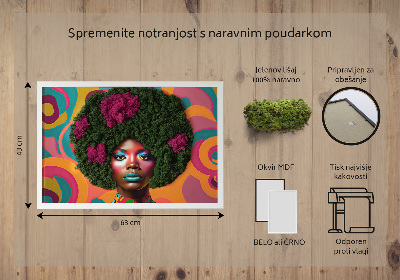 Quadro di muschio stabilizzato Una donna di Afro