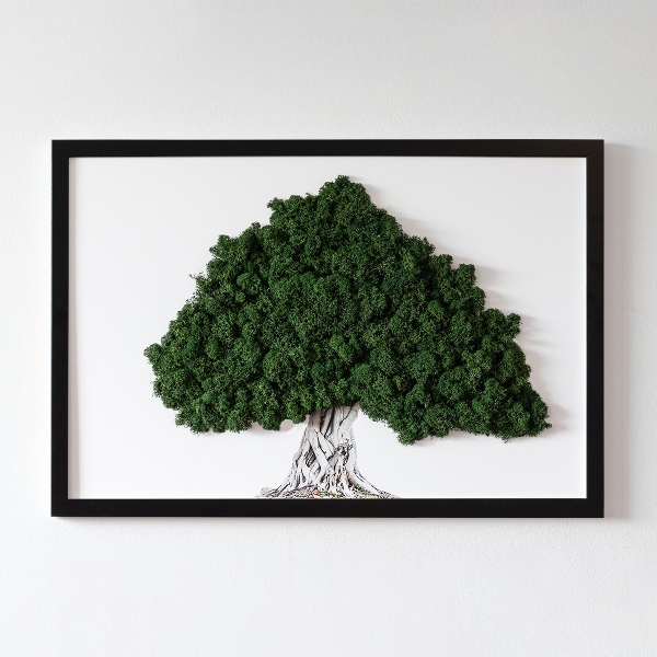 Quadro con muschio Albero con radici su sfondo bianco