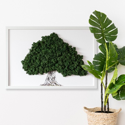 Quadro con muschio Albero con radici su sfondo bianco