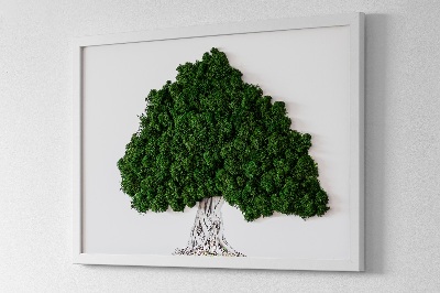 Quadro con muschio Albero con radici su sfondo bianco