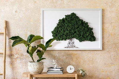 Quadro con muschio Albero con radici su sfondo bianco