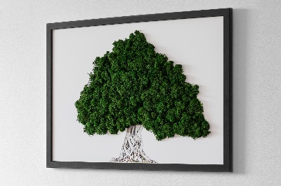 Quadro con muschio Albero con radici su sfondo bianco