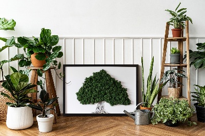 Quadro con muschio Albero con radici su sfondo bianco