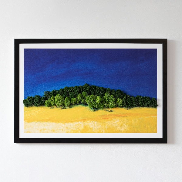 Quadro con muschio stabilizzato Paesaggio giallo-blu