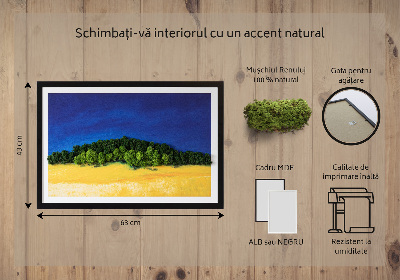 Quadro con muschio stabilizzato Paesaggio giallo-blu