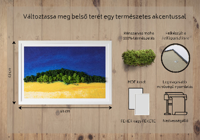 Quadro con muschio stabilizzato Paesaggio giallo-blu