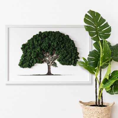 Quadro di muschio Albero su sfondo bianco