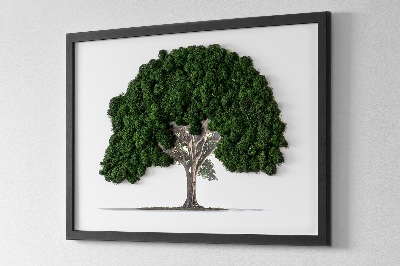 Quadro di muschio Albero su sfondo bianco