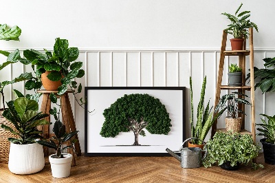 Quadro di muschio Albero su sfondo bianco