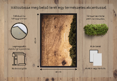 Quadro muschio stabilizzato Tavola in rovere naturale