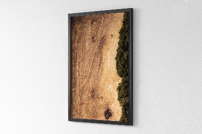 Quadro muschio stabilizzato Tavola in rovere naturale