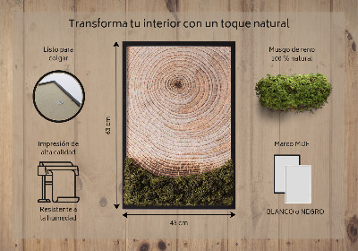 Quadro muschio stabilizzato Venature del legno