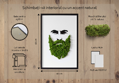 Quadro con muschio stabilizzato Hipster con la barba