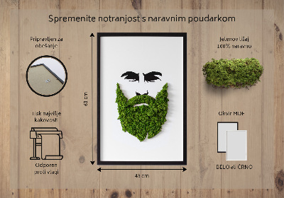 Quadro con muschio stabilizzato Hipster con la barba