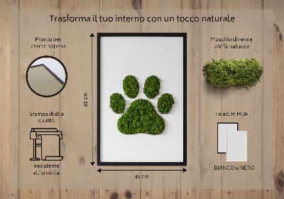 Quadro muschio Impronta di zampa