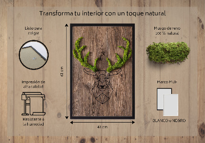 Quadro con muschio stabilizzato Testa di cervo su sfondo in legno