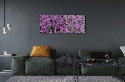 Quadro su vetro Fiori viola