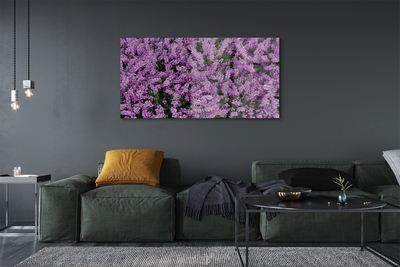 Quadro su vetro Fiori viola