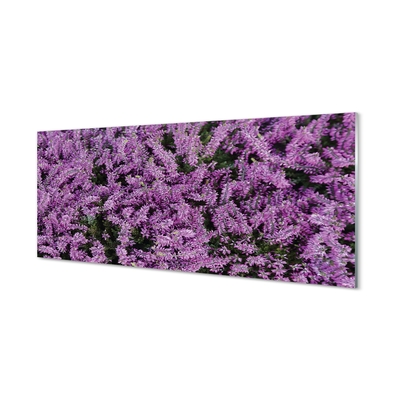 Quadro su vetro Fiori viola