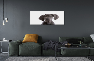 Quadro in vetro Cane marrone