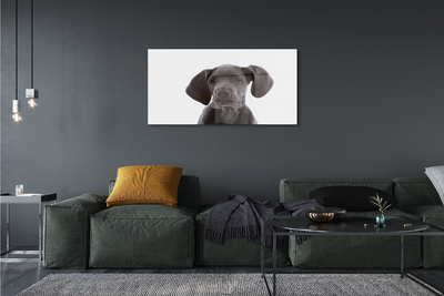 Quadro in vetro Cane marrone