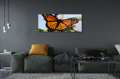 Quadro in vetro Farfalla colorata
