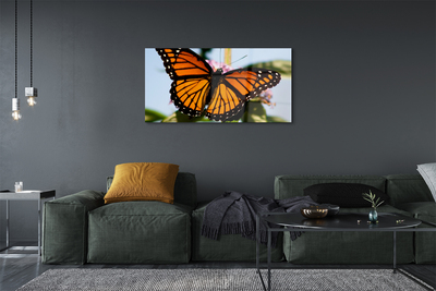Quadro in vetro Farfalla colorata