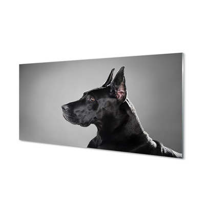 Quadro di vetro Cane nero