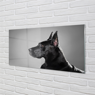 Quadro di vetro Cane nero