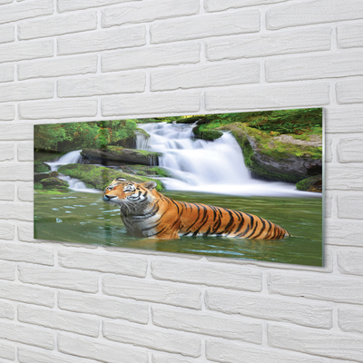 Quadro in vetro Cascata della tigre