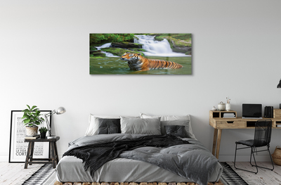 Quadro in vetro Cascata della tigre