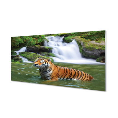 Quadro in vetro Cascata della tigre