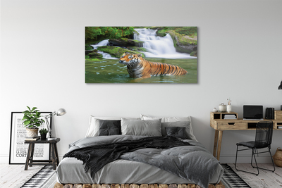 Quadro in vetro Cascata della tigre