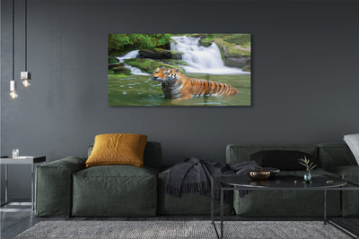 Quadro in vetro Cascata della tigre