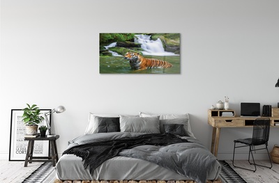 Quadro in vetro Cascata della tigre