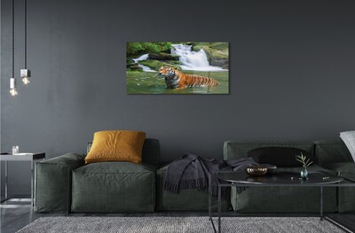 Quadro in vetro Cascata della tigre