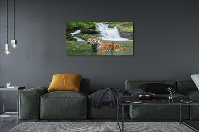 Quadro in vetro Cascata della tigre