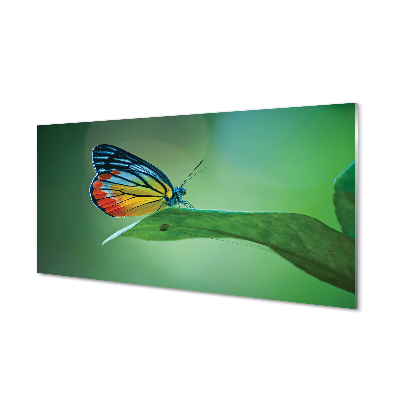 Quadro in vetro Foglia di farfalla colorata