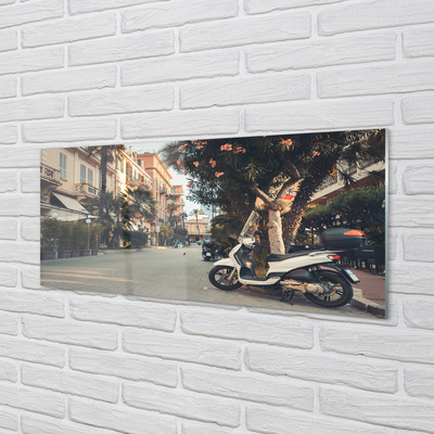 Quadro di vetro Moto palme città estate