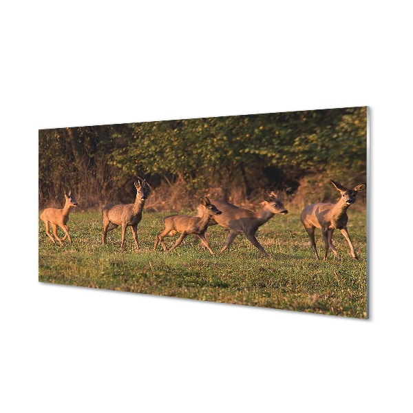 Quadro di vetro Alba in un campo di cervi