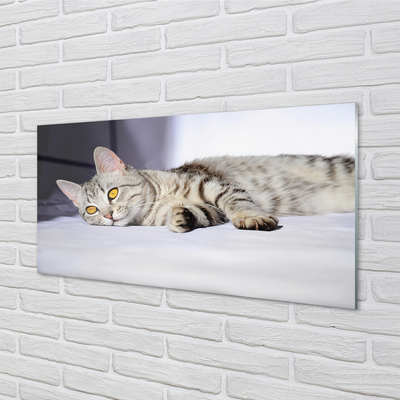 Quadro su vetro Gatto bugiardo