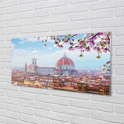 Quadro in vetro Italia cattedrale panorama notte