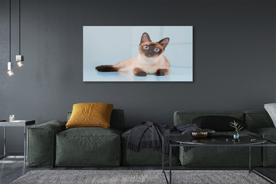 Quadro di vetro Gatto bugiardo